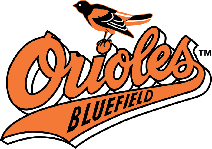 Bluefield Orioles iron ons